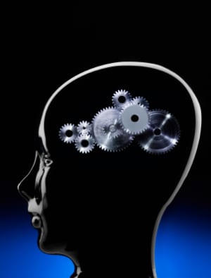 brain with gears in the context of architect psychology